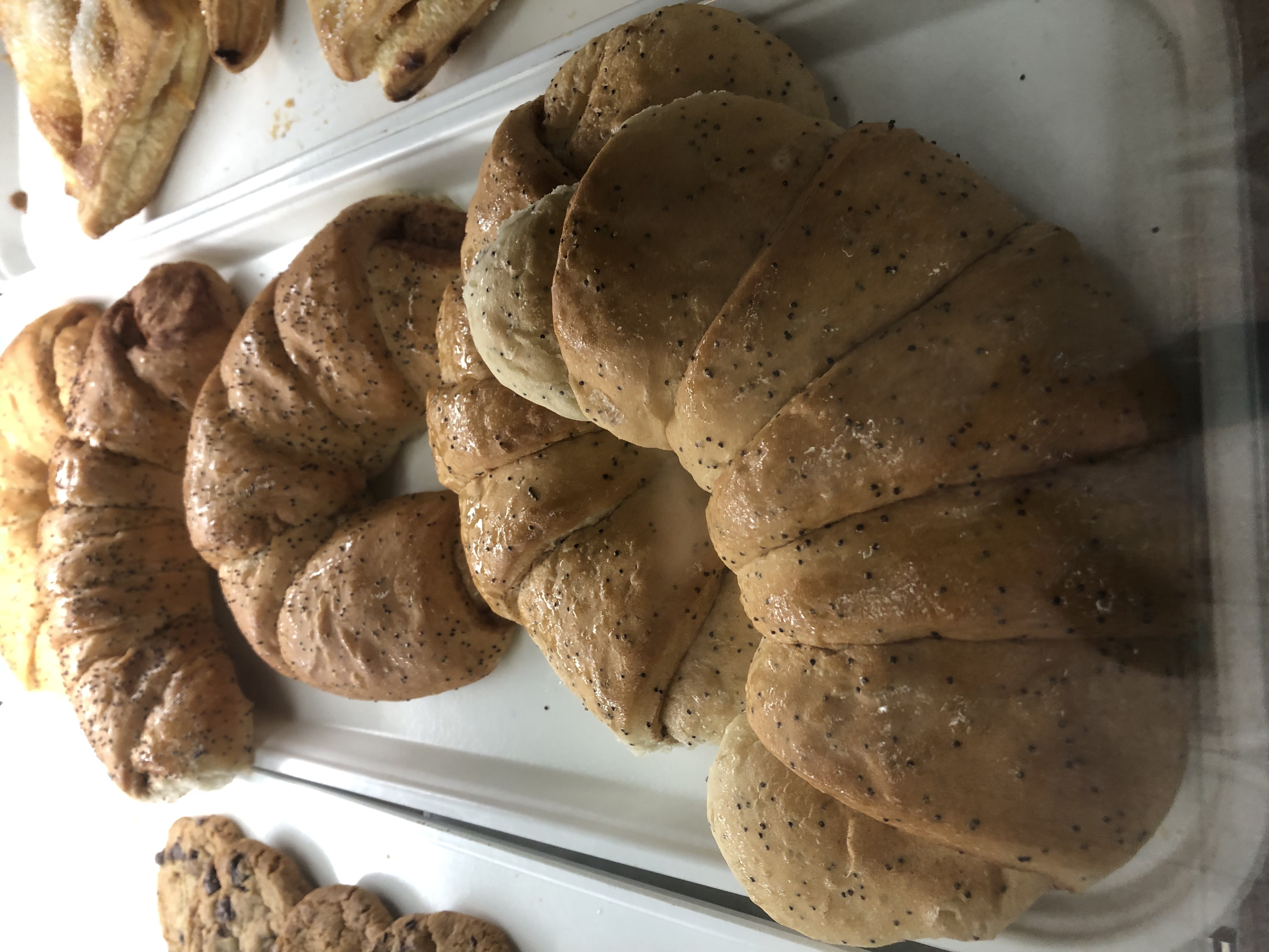 Apicella's Famous Poppy Seed Sweet Bread Horns Pkg of 3 New Haven